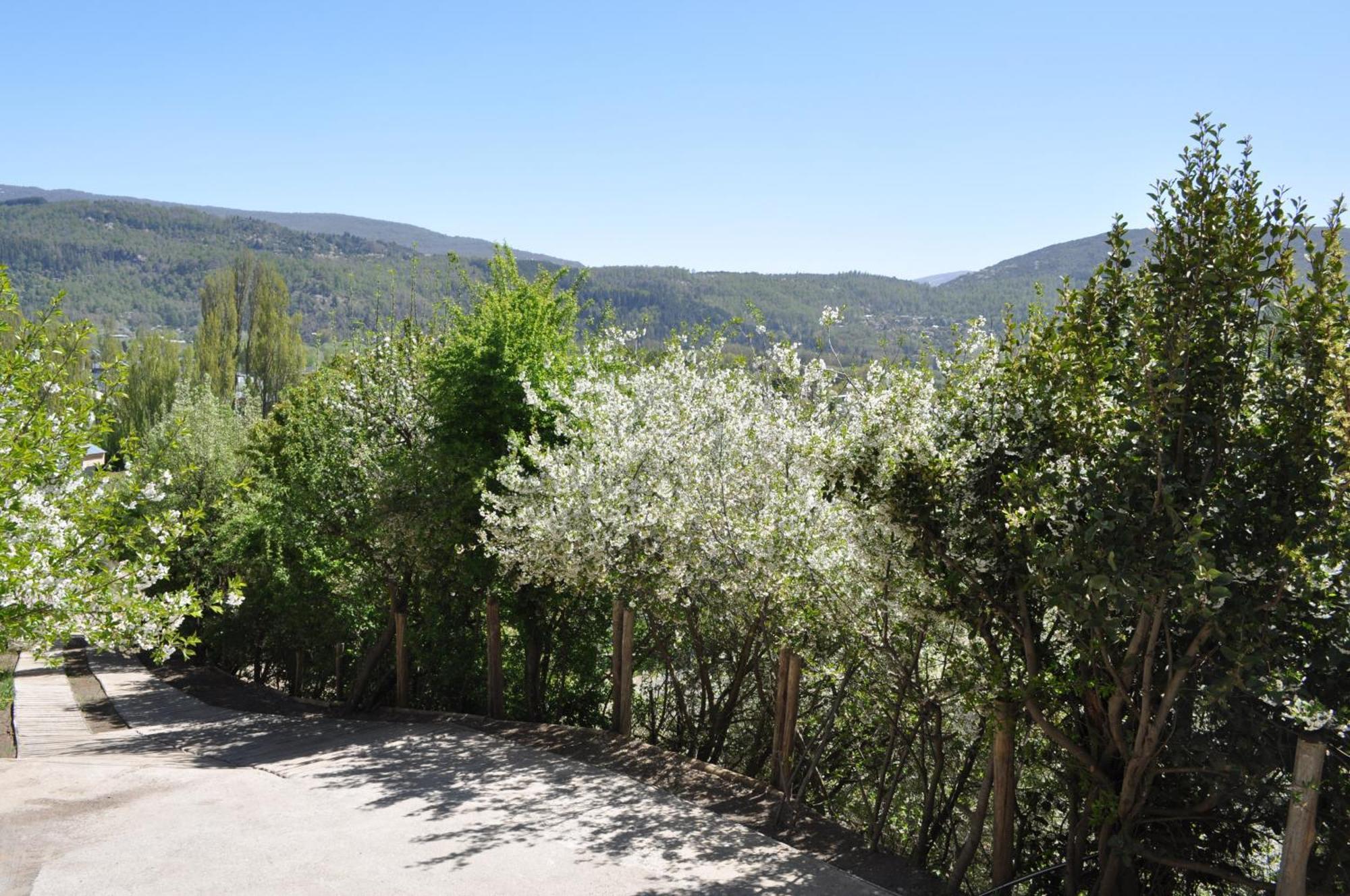 Melodia Natural En San Martín de los Andes Zewnętrze zdjęcie